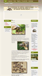 Mobile Screenshot of landschildpadden.com
